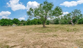 10767 Rosemar Ln, Adkins, TX 78101