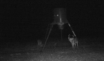 Hwy 6, Albany, TX 76424