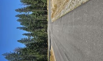 Lot 1 TJ Trail, Athol, ID 83801