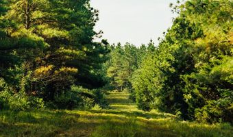 1037 Cr 300, Big Creek, MS 38914