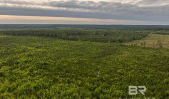 Flowers Road, Bay Minette, AL 36507