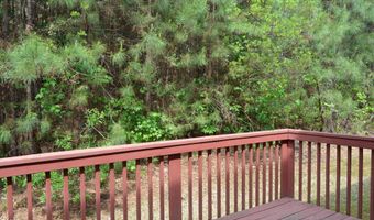 1005 Double Spring Ct, Apex, NC 27502