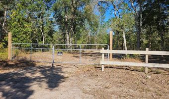 TBD 62nd Pl, Bell, FL 32619