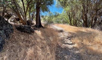 41902 Woodward Way, Ahwahnee, CA 93601