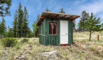 19 E Pine Dr, Bailey, CO 80421