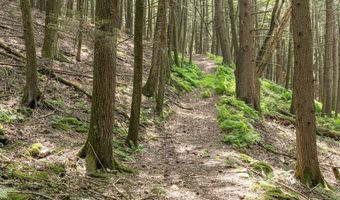 Boodle Hole, Accord, NY 12404