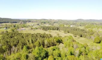 4820 COUNTY ROAD 22, Ashville, AL 35953