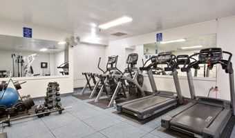 555 Pierce St 203, Albany, CA 94706