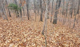 Tbd County Road East 76-211, Ava, MO 65608