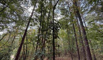 0 GIBSON COVE Dr 7.10 Acres Plus . 58 ac Access Lot, Ashville, AL 35953