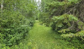 8800 Hwy 73, Angora, MN 55723