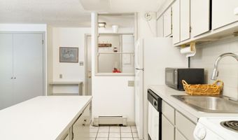 935 E Hopkins Ave 6, Aspen, CO 81611