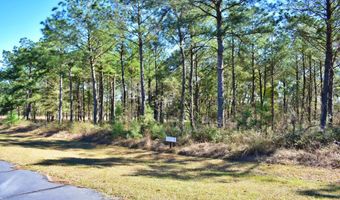 Lot 5/6 Block A Mountain View Way 5, 6, Bainbridge, GA 39819