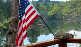 57 Lakeview Pt, Alexander City, AL 35010