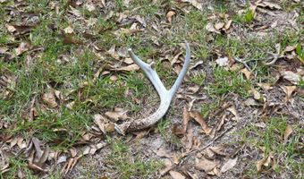 23826 Opine Rd, Andalusia, AL 36421