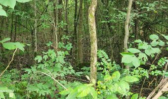 Shady Lane, Big Sandy, TN 38221
