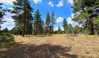 Swan Drive 16 & 17, Bonanza, OR 97623