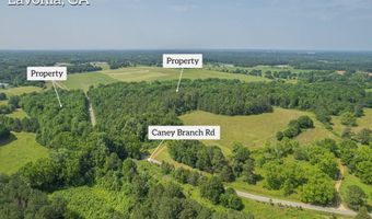 0 Caney Branch Rd, Lavonia, GA 30553