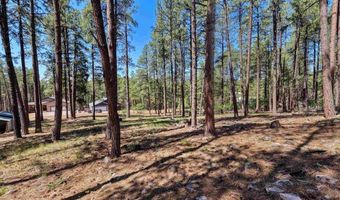 79 Spruce Way, Bayfield, CO 81122