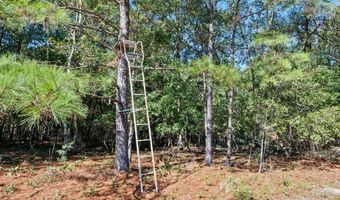 7901 Ashleigh Rd, Blackville, SC 29817