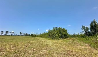 Ms-25, Brandon, MS 39047