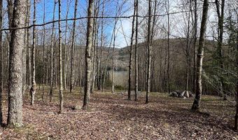 State Highway 30, Andes, NY 13731