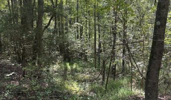 Mule Pulling Road, Pontotoc, MS 38863