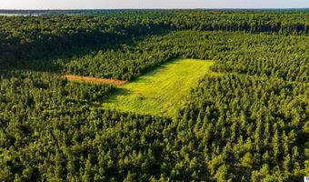 CARPENTER ROAD, Bastrop, LA 71220