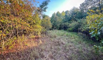 Tbd Highway 3, Antlers, OK 74523