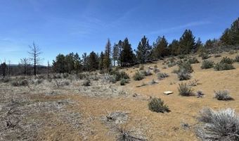 31763 Godowa Springs Rd, Beatty, OR 97621
