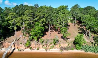 171 Lakeview Ter, Abbeville, AL 36310