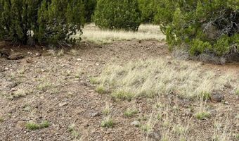 Tbd County Rd N3440, Concho, AZ 85924