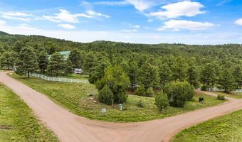8716 National Forest Dr, Beulah, CO 81023