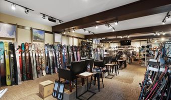 408 E Cooper Ave, Aspen, CO 81611