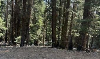 Ozite Rd, Alturas, CA 96101