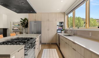 113 Valley Ct, Basalt, CO 81621