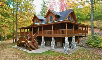 6402 Rustic Pine Trl, Alanson, MI 49706