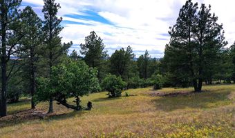 TBD Majestic View Rd, Aladdin, WY 82710