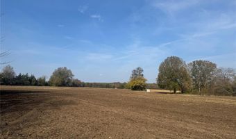 000 FM 44, Annona, TX 75550