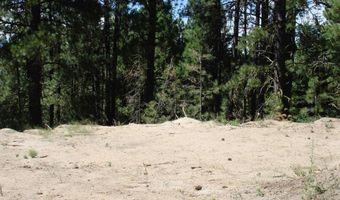 464 Collier View Rd, Cascade, ID 83611