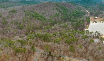 Lot 4 CONSTELLATION DRIVE 2.42 acres, Alpine, AL 35014