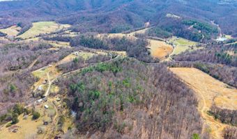 Puppy Creek, Amherst, VA 24521