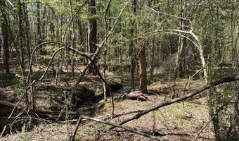 SW Auburn Drive, Bogue Chitto, MS 39629