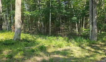 4740 Wildwood Rd, Alger, MI 48610