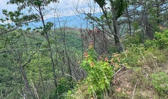 88 Acres Bolden Br, Andrews, NC 28901