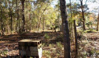 11090 107 Ter, Archer, FL 32618