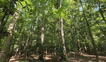 416 Summers Ln, Brookhaven, MS 39601