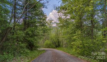 Buena Vista Drive unit 25 25, Barnardsville, NC 28709