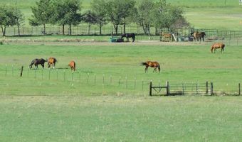 Pinenut Road, Gardnerville, NV 89410