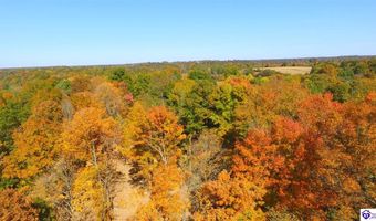 1647 Boone Hollow Rd, Battletown, KY 40104